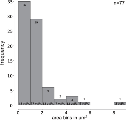 area histogramm shows the distribution of phase dimensions.