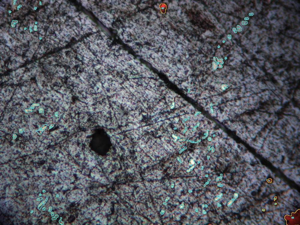 Lead sample that shows the identified silver and copper inclusions to be quantified.